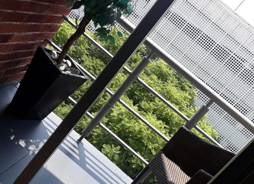 Altres Foto