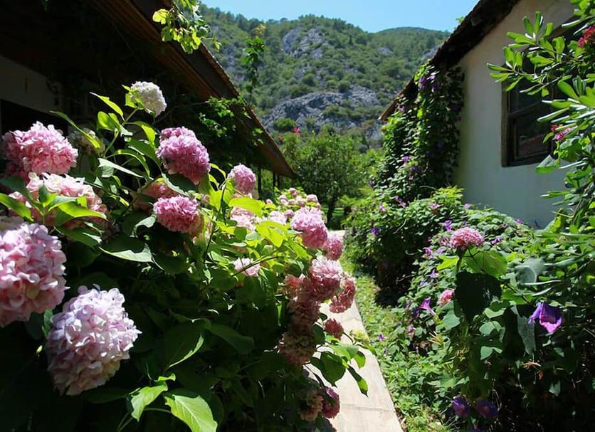 Vista exterior Foto