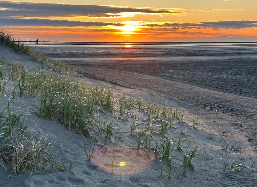 Platja Foto