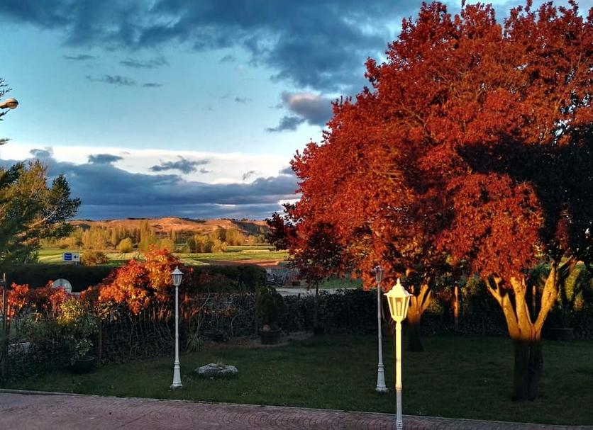 Altres Foto
