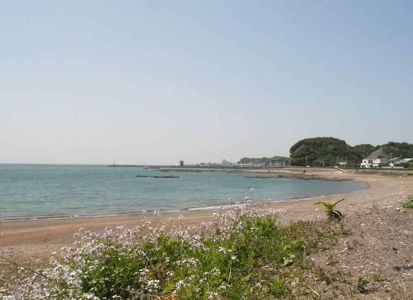 Platja Foto