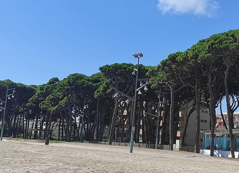 Edifici Foto