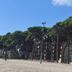 Edifici