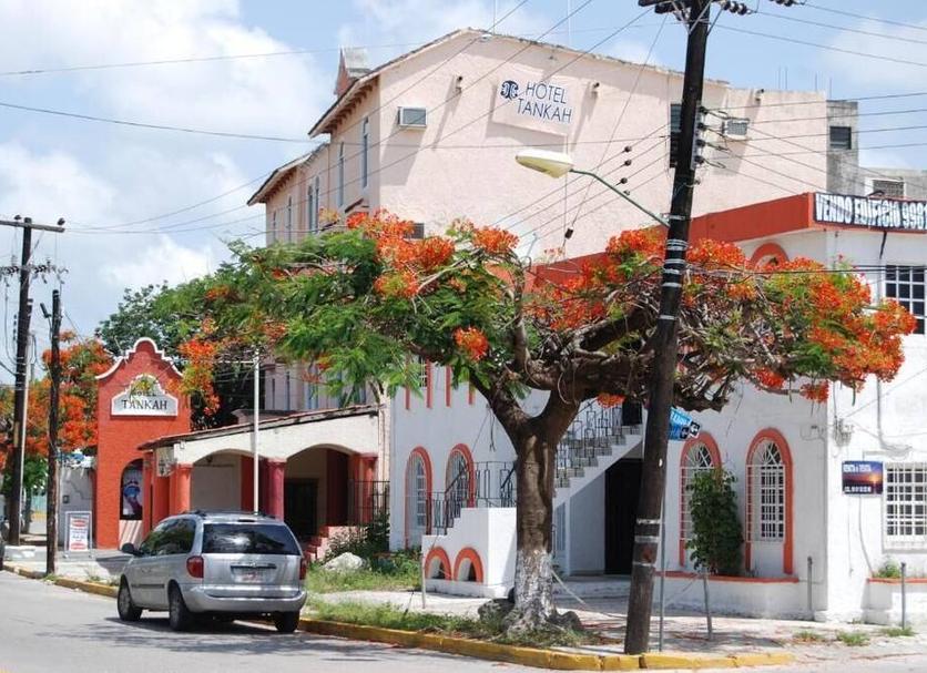 Edifici Foto
