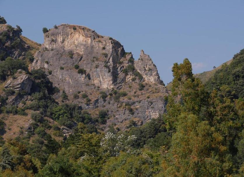 Altres Foto