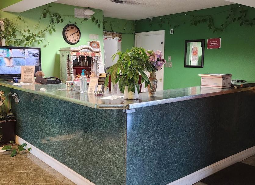 Recepció Foto