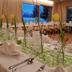 Sala de banquets