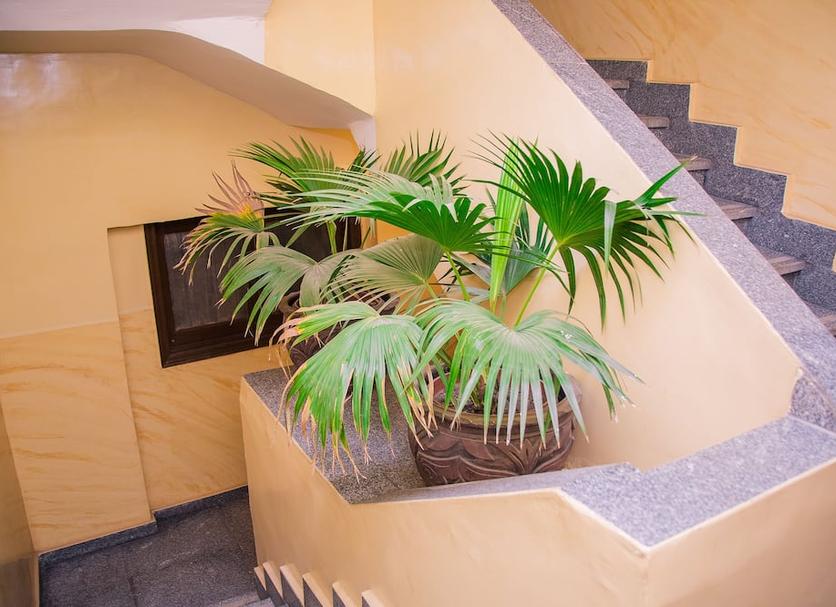Escales Foto