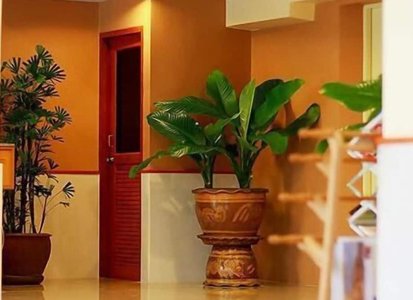 Serveis de l’habitació Foto