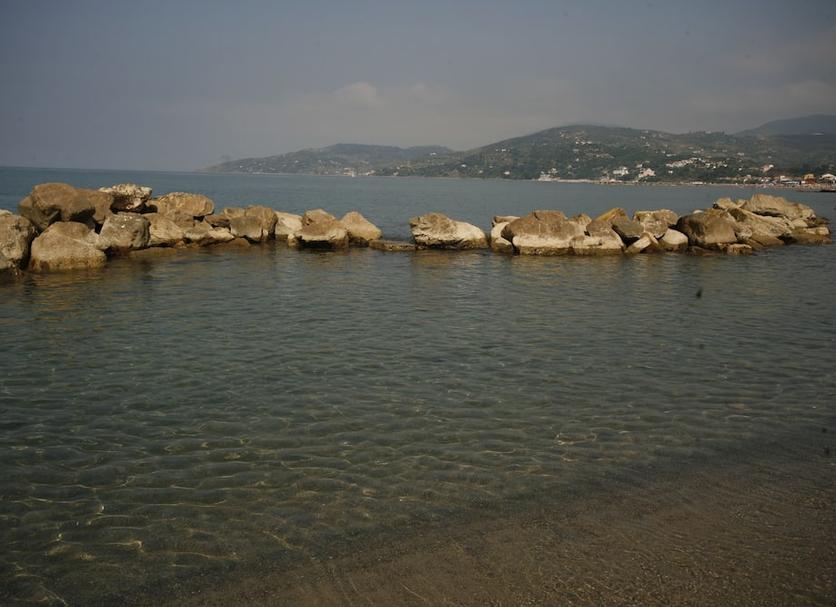 Altres Foto