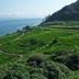Llocs d'interès