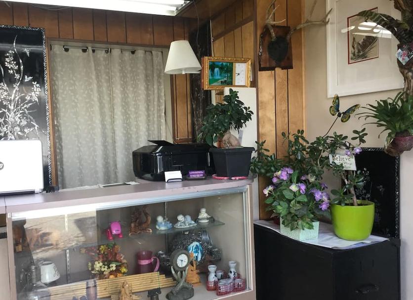 Serveis de l’habitació Foto