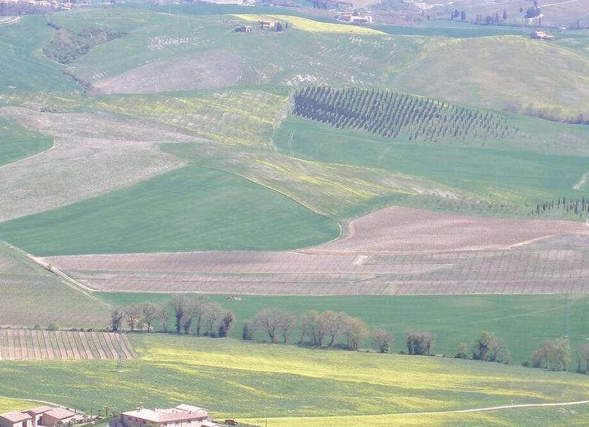 Edifici Foto