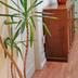 Serveis de l’habitació