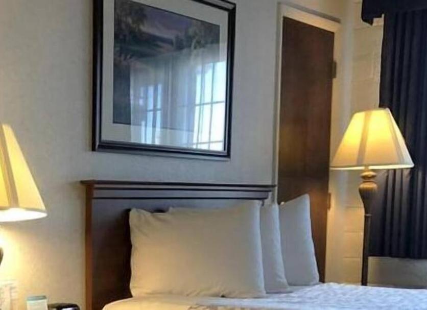 Serveis de l’habitació Foto