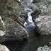 Altres