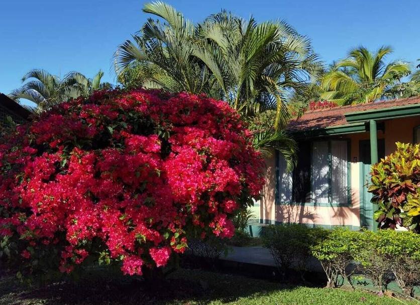 Vista exterior Foto