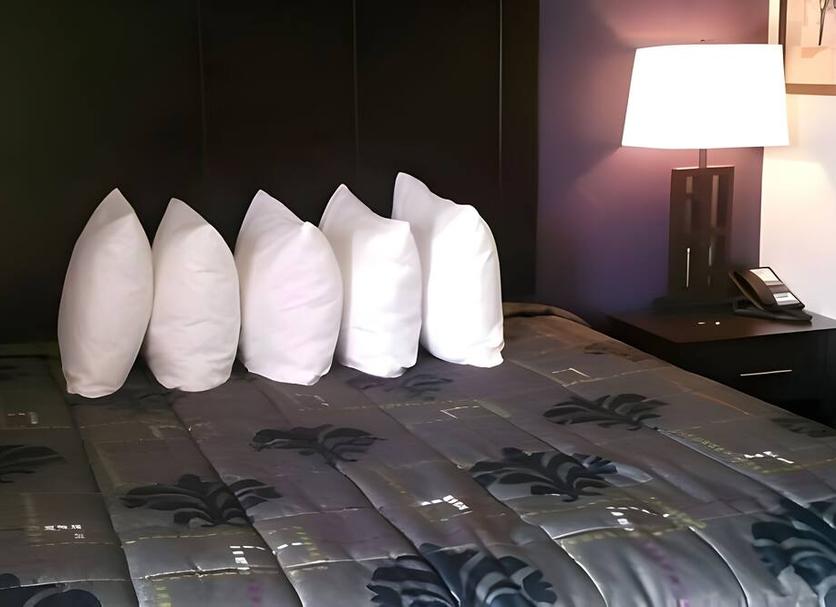 Serveis de l’habitació Foto