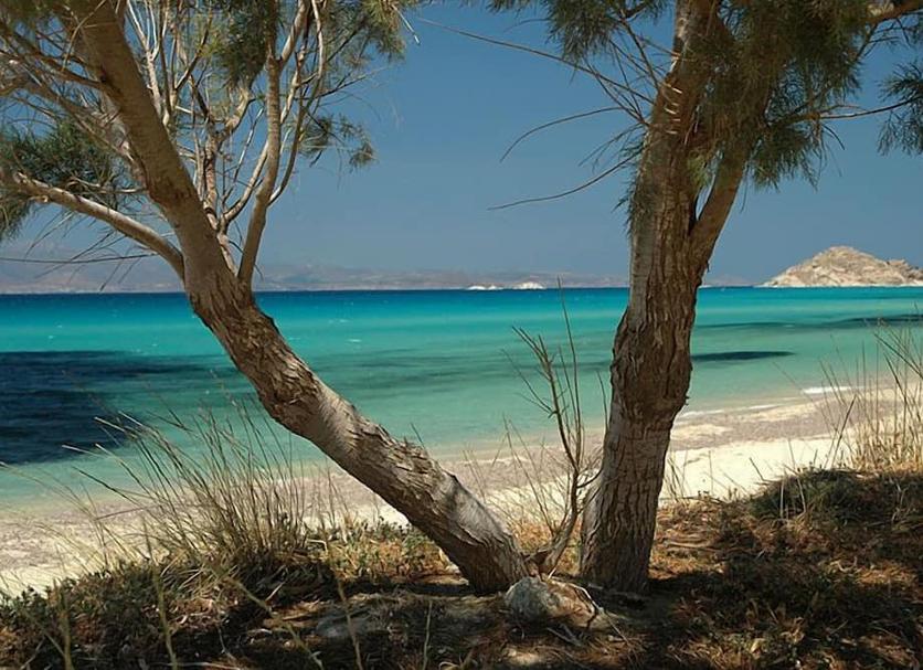 Platja Foto