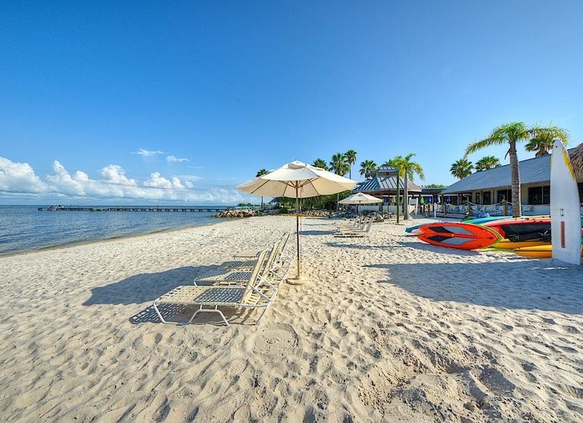Platja Foto