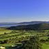 Camp de golf