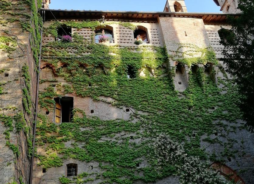 Edifici Foto