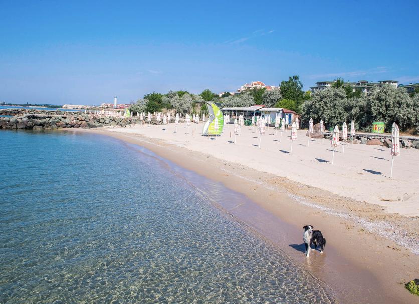 Platja Foto