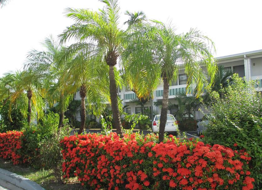 Vista exterior Foto
