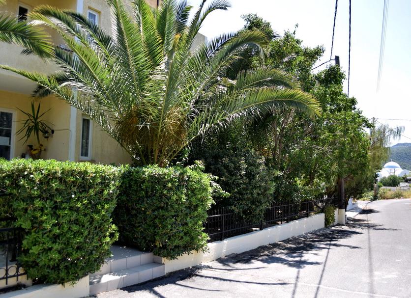Vista exterior Foto