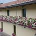 Edifici