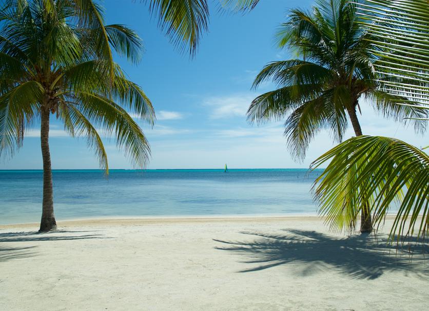 Platja Foto