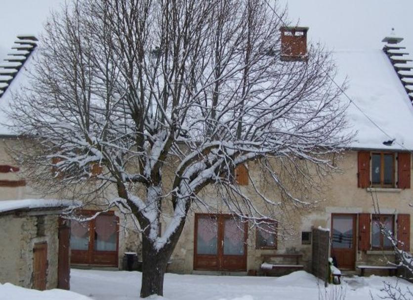 Edifici Foto